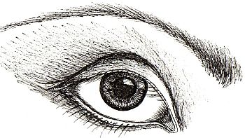 Eye